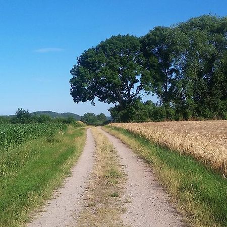 Landgasthof Zur Untermuehle Datterode ภายนอก รูปภาพ