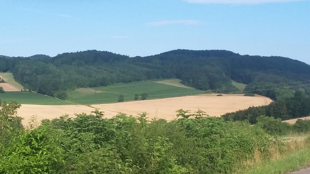 Landgasthof Zur Untermuehle Datterode ภายนอก รูปภาพ
