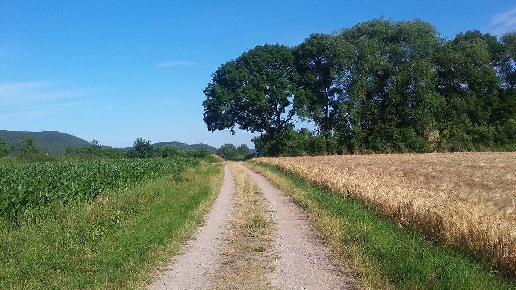 Landgasthof Zur Untermuehle Datterode ภายนอก รูปภาพ